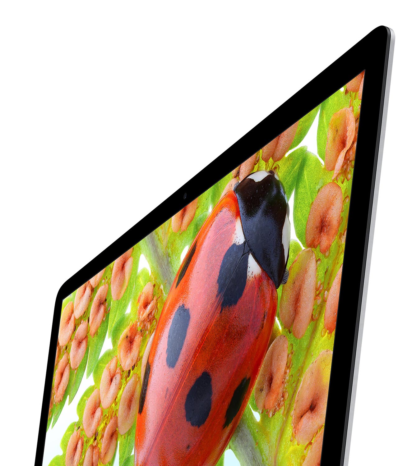 iMac - Не просто екран, а светоглед